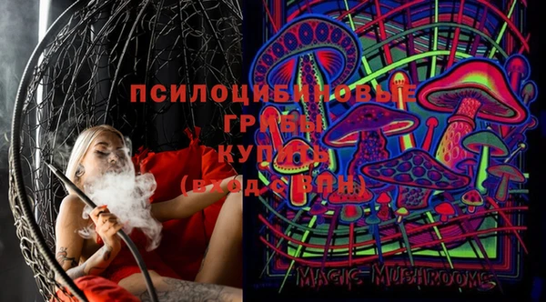 не бодяженный Абаза